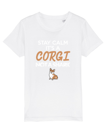 CORGI White