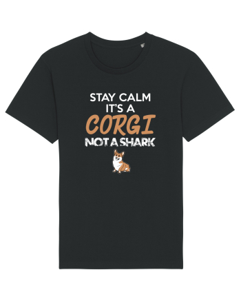 CORGI Black