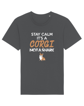 CORGI Anthracite