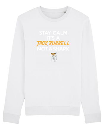 JACK RUSSELL White
