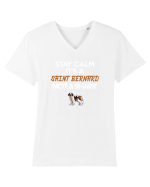SAINT BERNARD Tricou mânecă scurtă guler V Bărbat Presenter