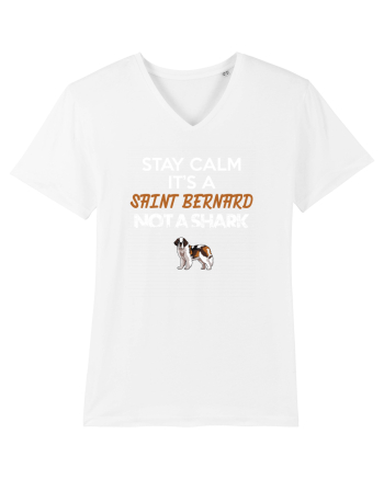 SAINT BERNARD White