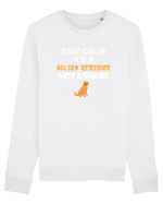 GOLDEN RETRIEVER Bluză mânecă lungă Unisex Rise