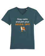 SHIBA INU Tricou mânecă scurtă guler V Bărbat Presenter