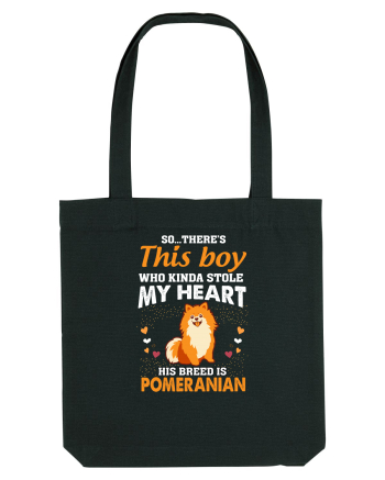 POMERANIAN Black