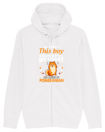 POMERANIAN White