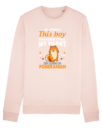 POMERANIAN Candy Pink