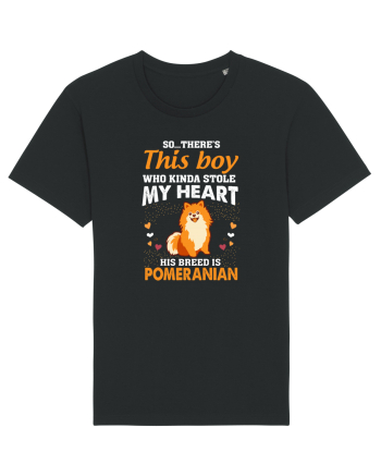 POMERANIAN Black