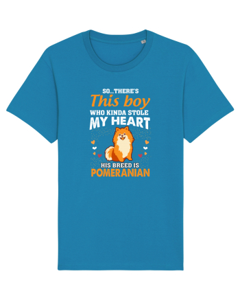 POMERANIAN Azur
