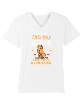 GOLDEN RETRIEVER White