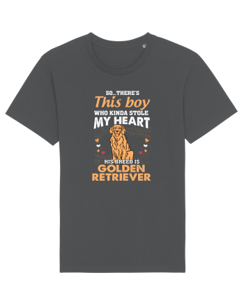 GOLDEN RETRIEVER Anthracite