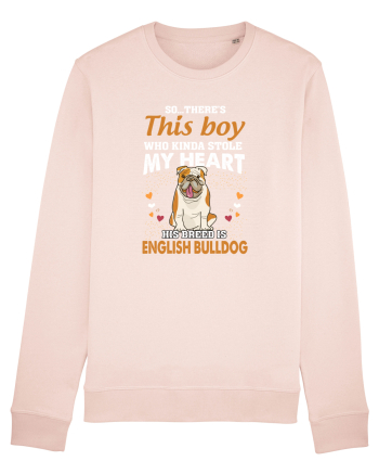 BULLDOG Candy Pink