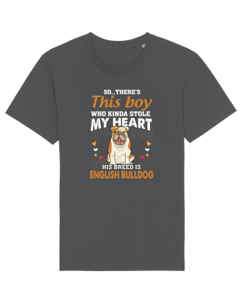 BULLDOG Anthracite