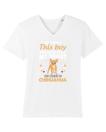 CHIHUAHUA White