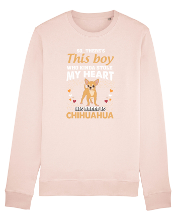 CHIHUAHUA Candy Pink