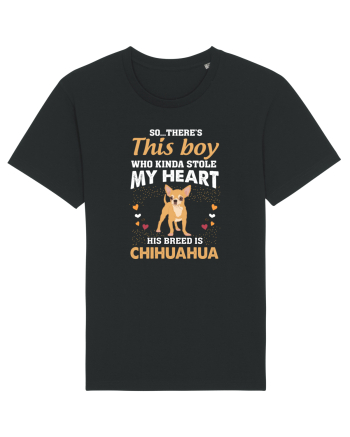 CHIHUAHUA Black