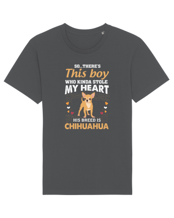 CHIHUAHUA Anthracite