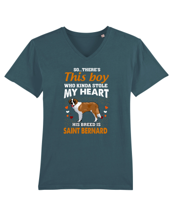 SAINT BERNARD Stargazer
