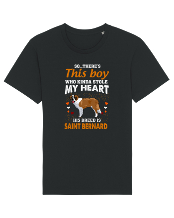 SAINT BERNARD Black