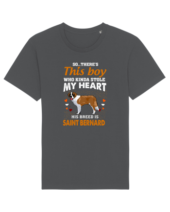 SAINT BERNARD Anthracite