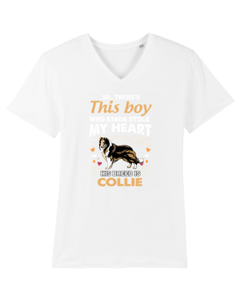 COLLIE White