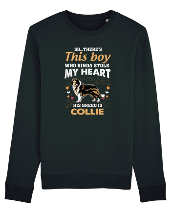 COLLIE Black