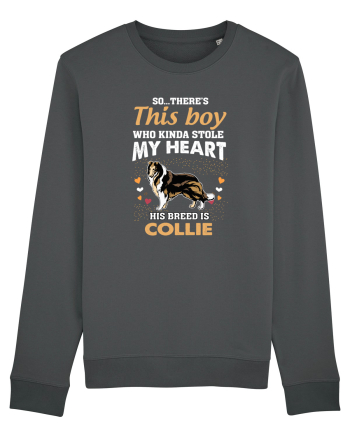 COLLIE Anthracite