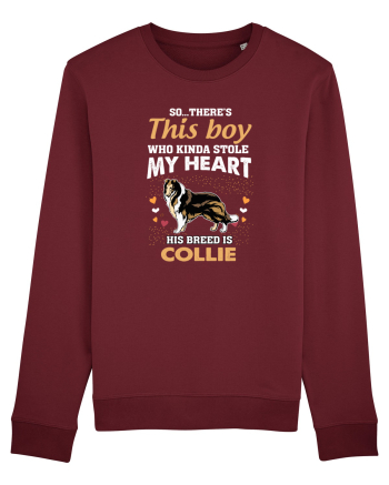 COLLIE Burgundy