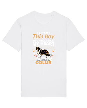 COLLIE White