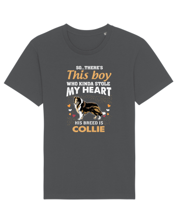 COLLIE Anthracite