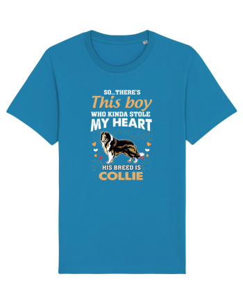 COLLIE Azur