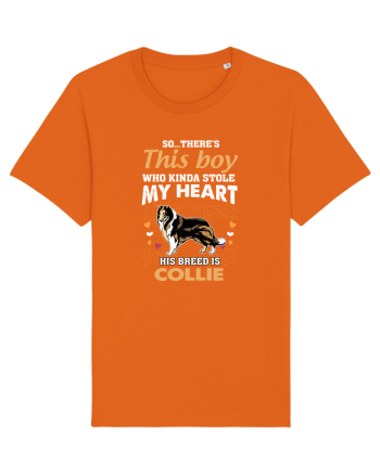 COLLIE Bright Orange