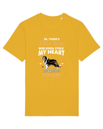 COLLIE Spectra Yellow