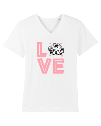 SHIH TZU White