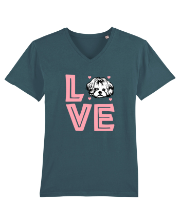 SHIH TZU Stargazer