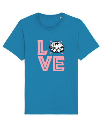SHIH TZU Azur