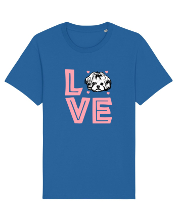 SHIH TZU Royal Blue