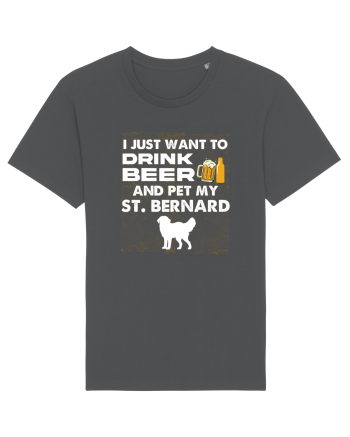 SAINT BERNARD Anthracite