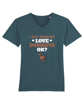 DONKEYS Stargazer