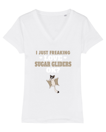 SUGAR GLIDERS White
