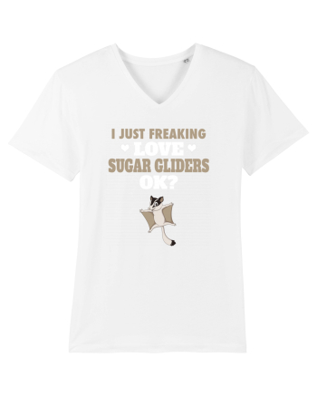 SUGAR GLIDERS White