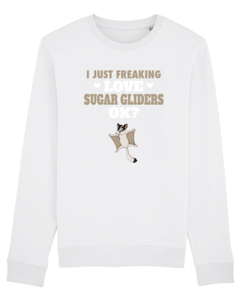 SUGAR GLIDERS White