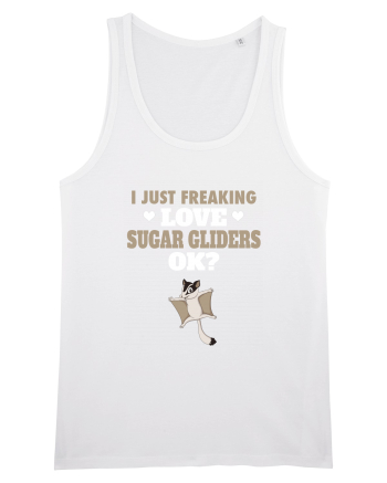 SUGAR GLIDERS White