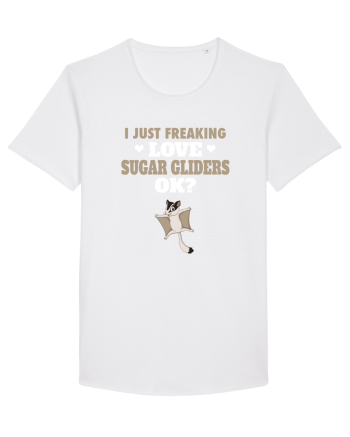 SUGAR GLIDERS White