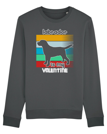 Labrador Is My Valentine Anthracite