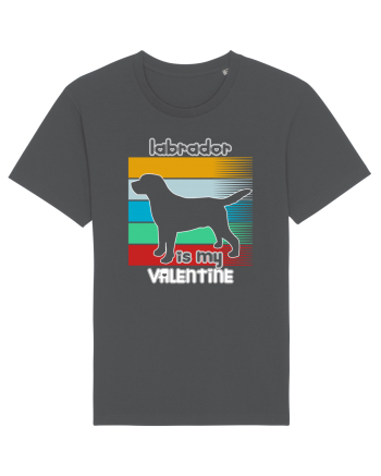 Labrador Is My Valentine Anthracite
