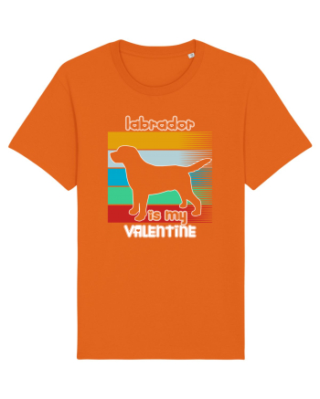 Labrador Is My Valentine Bright Orange