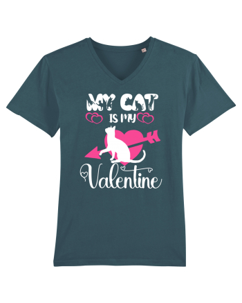 My Cat Is My Valentine Stargazer