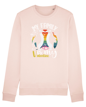 My Family Is My Valentine Candy Pink