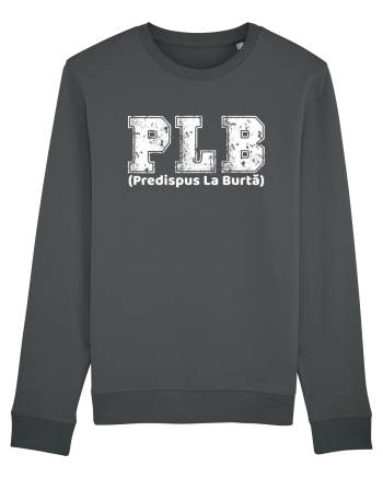 PLB Predispus La Burta Anthracite